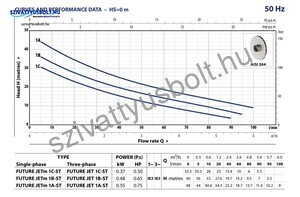 Pedrollo Future-Jetm 1C-ST