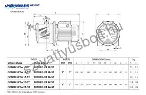 Pedrollo Future-Jetm 1C-ST