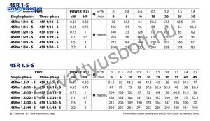 Pedrollo 4SRm 1/29 S-PD