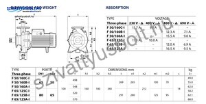 Pedrollo F 65/125B-I