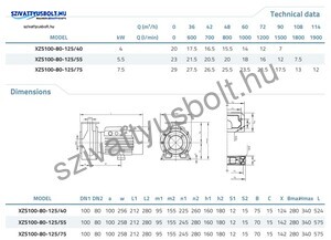 Leo XZS 100-80-125/55